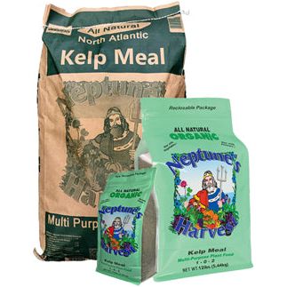 seaweed plant food fertilizer Organic Kelp Meal Fertilizer – GrowItNaturally.com