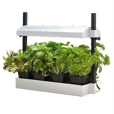 SunBlaster Growlight Micro Garden Equipment Sunblaster Holdings ULC