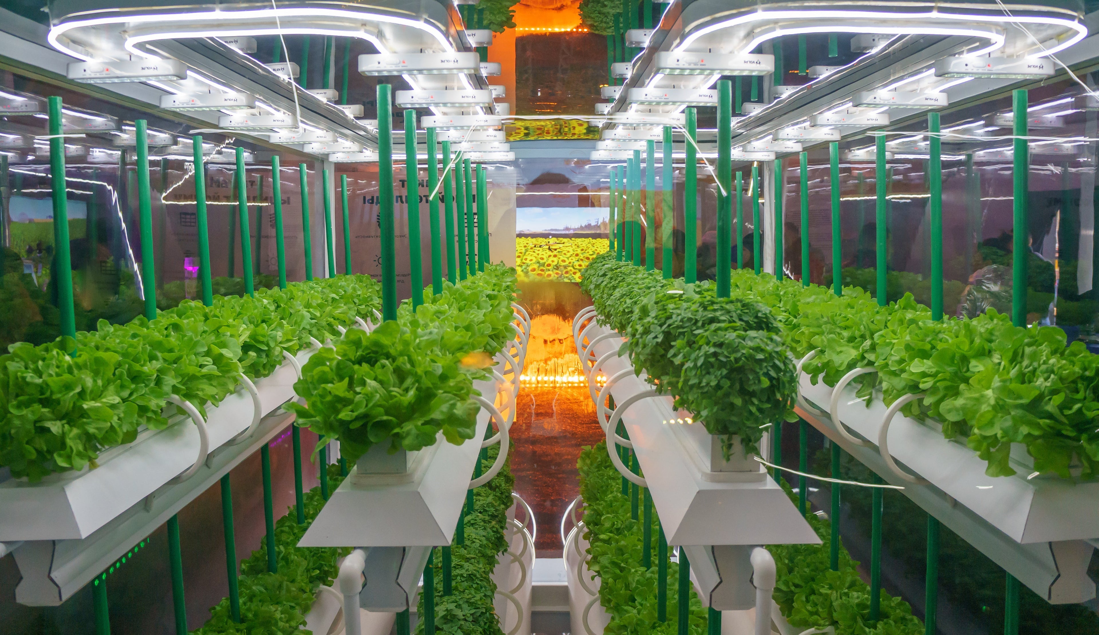 Fertilizers, Nutrients, & Growth Enhancers