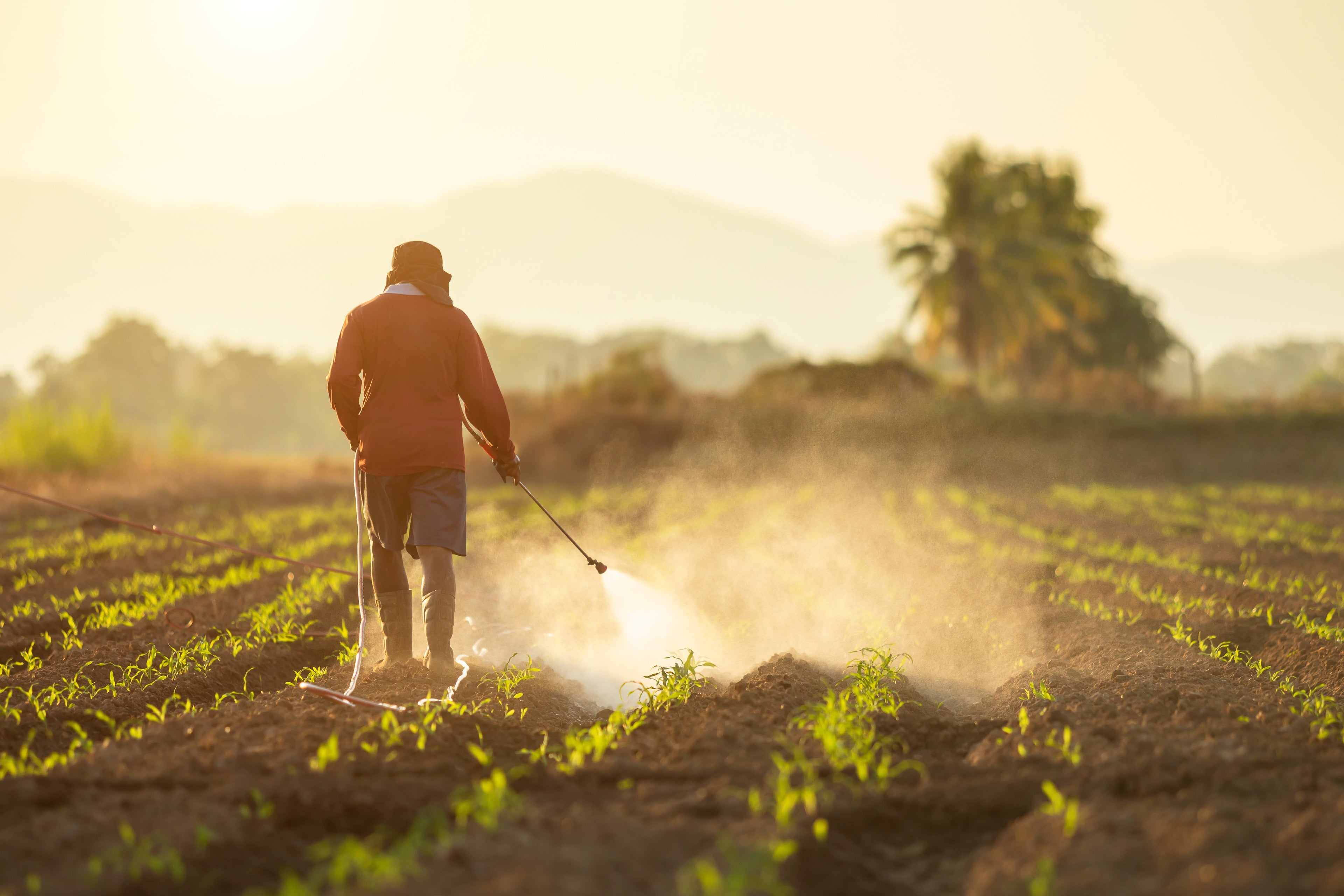 Liquid Fertilizers & Amendments