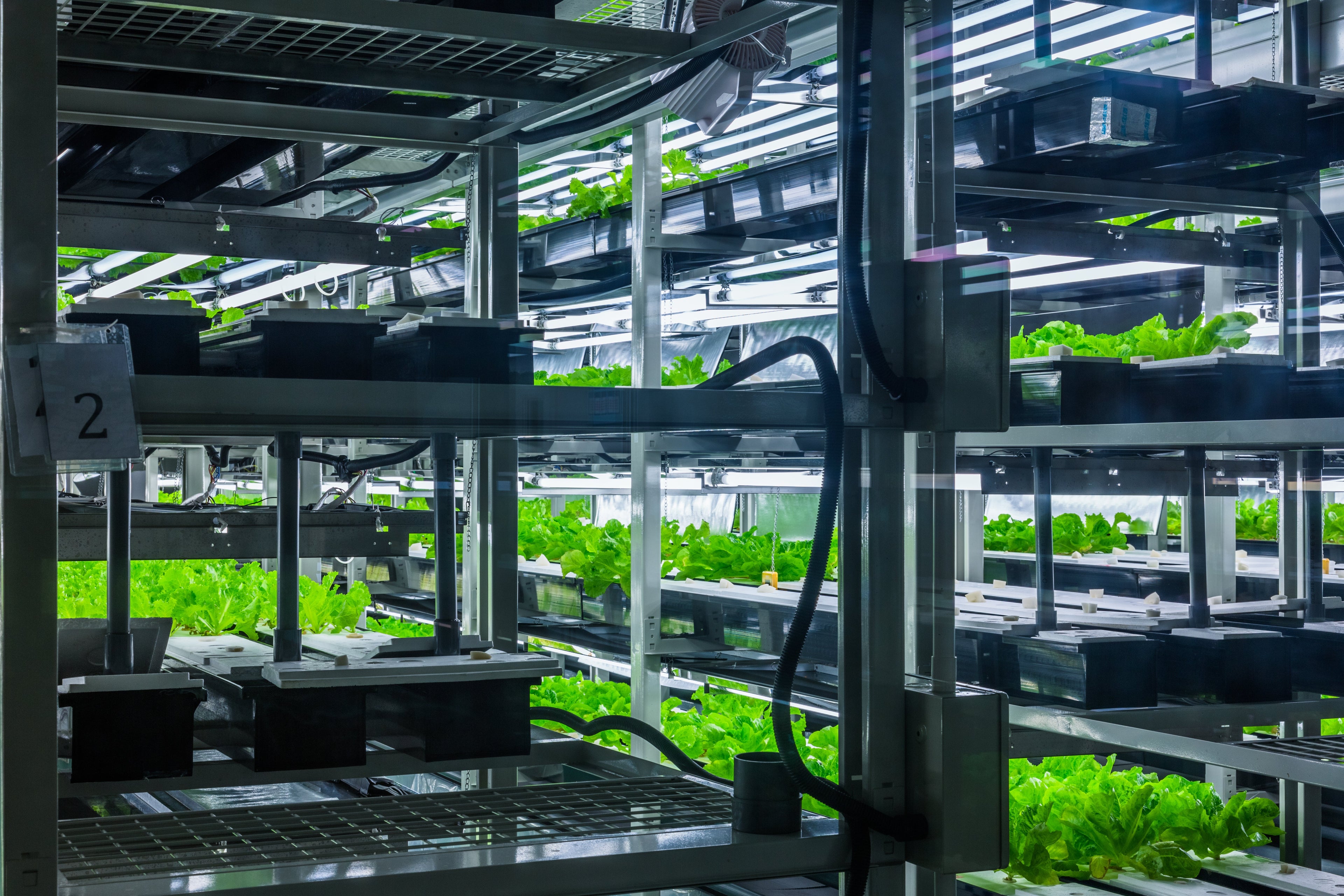 Hydroponic Systems & Accessories