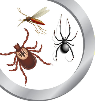 Organic Tick, Mosquito and Flea Control