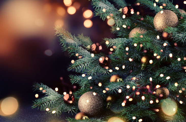 Holiday Sale