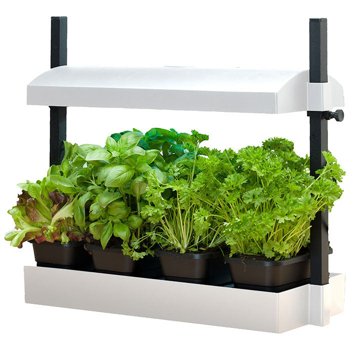 Grow Kits