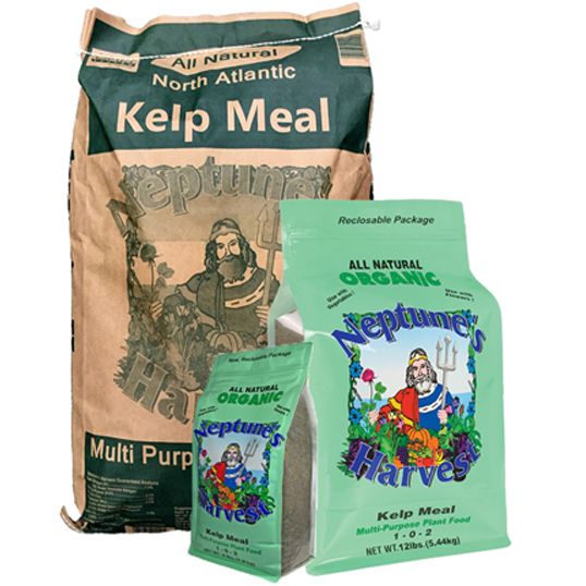 Neptune's Harvest Organic Kelp Meal