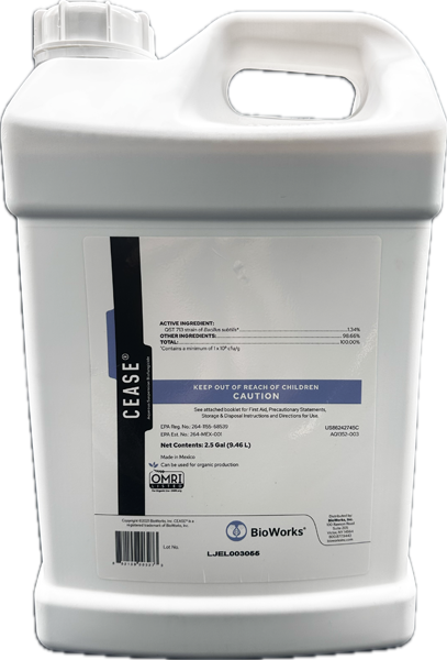 BioWorks CEASE Organic Biological Fungicide