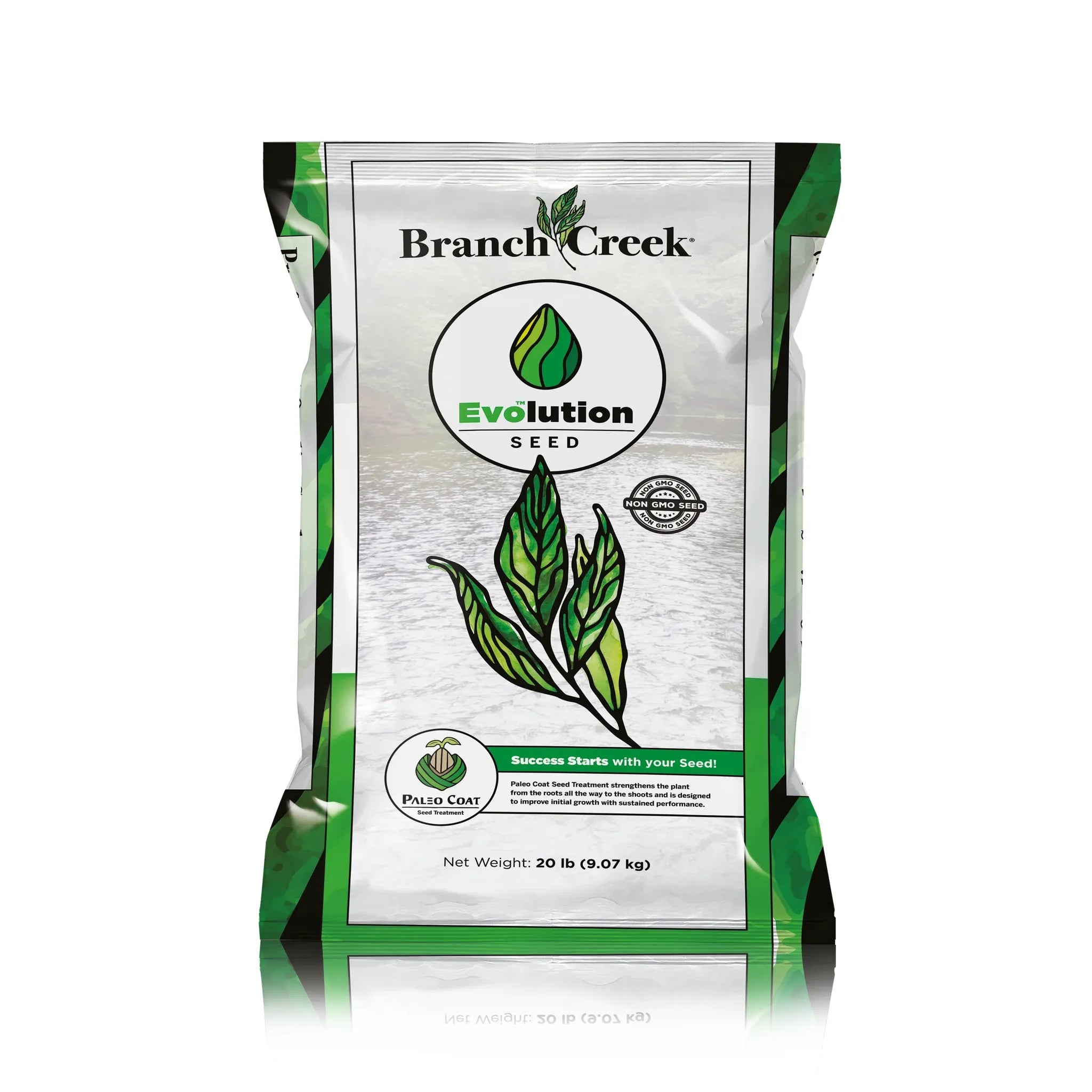 Branch Creek Evolution Grass Seed