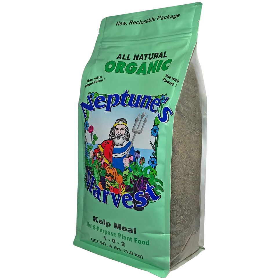 Neptune's Harvest Organic Kelp Meal 4 lb.