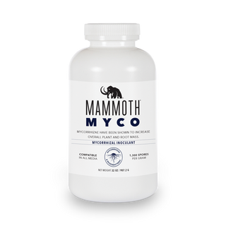 Mammoth Myco GrowItNaturally.com