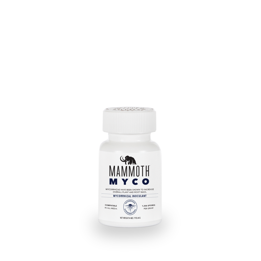 Mammoth Myco GrowItNaturally.com