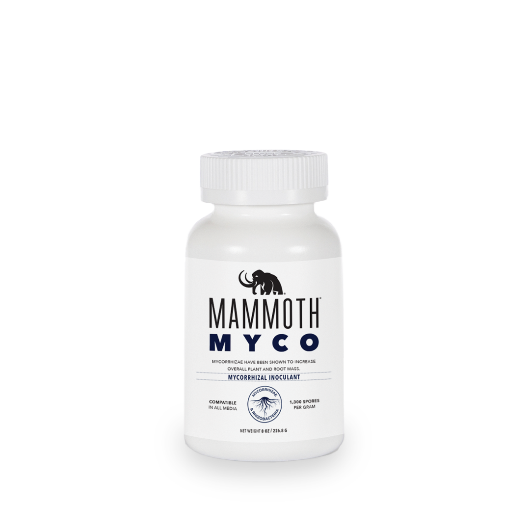 Mammoth Myco GrowItNaturally.com
