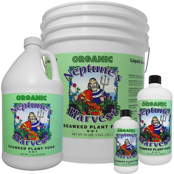 liquid seaweed fertilizer organic Neptune's Harvest Seaweed Fertilizer (32 oz)