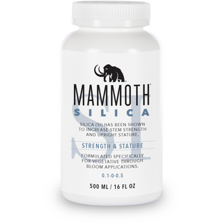 Mammoth Silica