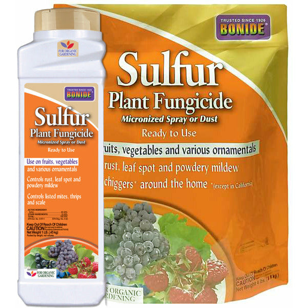 best fungicide for indoor plants Bonide